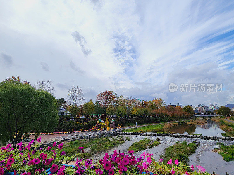 vh560 - 000菊花节风景1.JPG